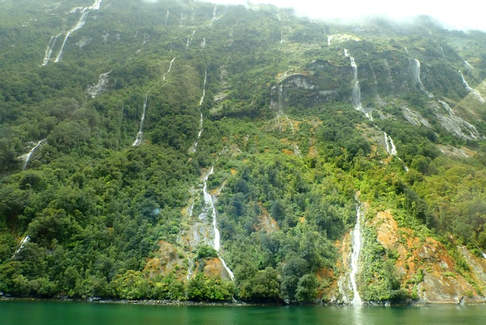 Fiordland National Park - Milford Sound