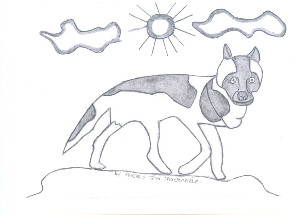 wolf