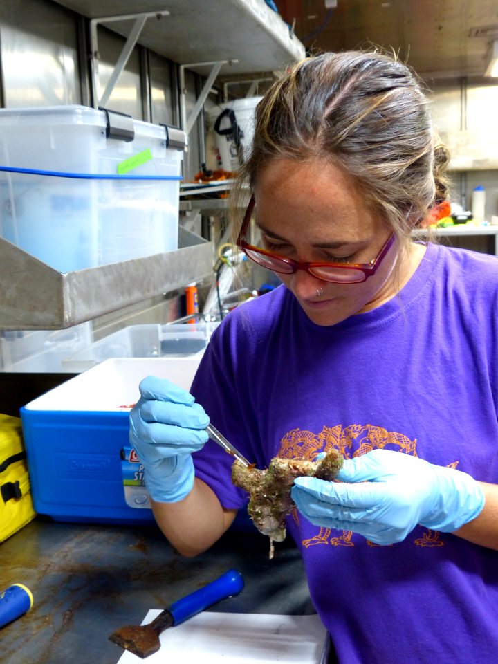 Removing Bioeroders