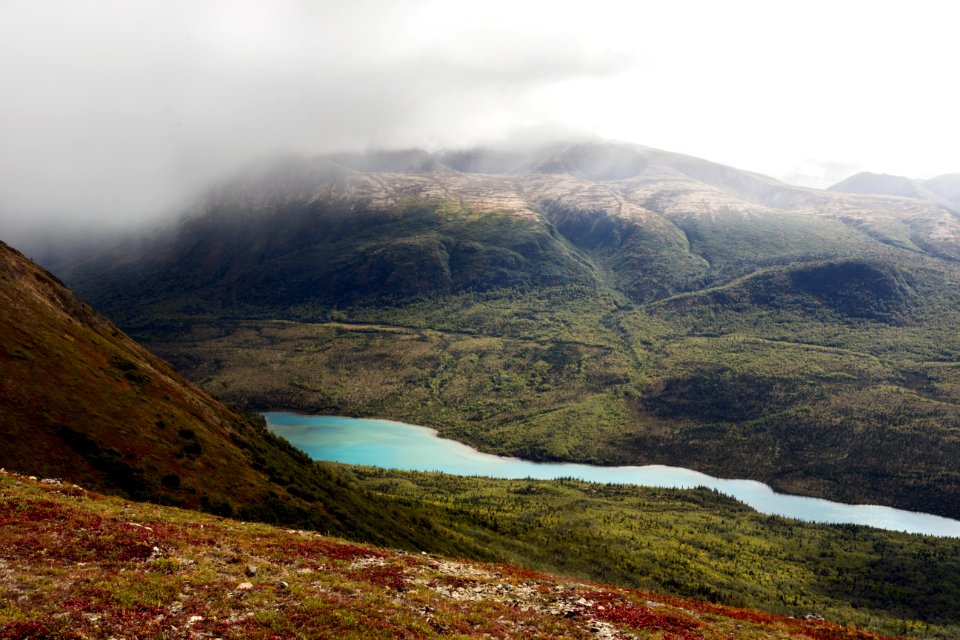 Looking Down on Kontrashibuna