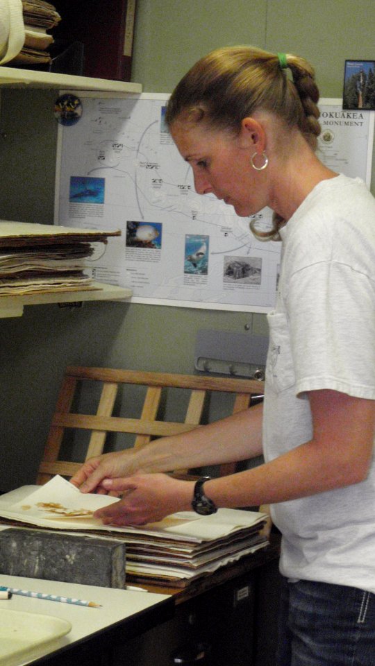 Examining Limu Specimen in Lab