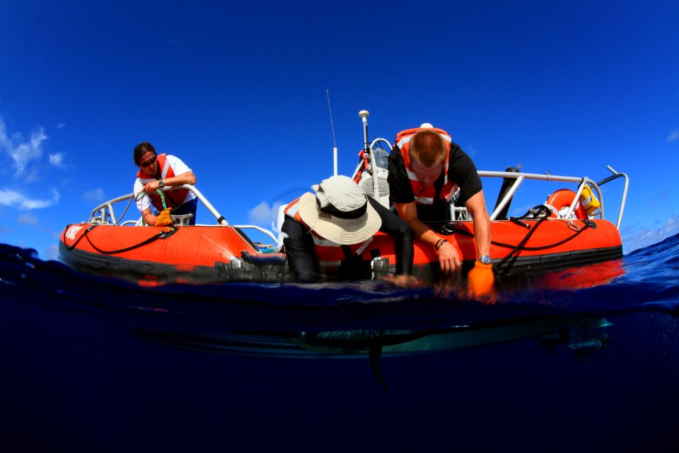 James Yannis and Christian Tagging Elua - Pearl and Hermes