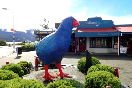 Te Anau Takahe
