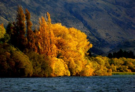 The golden season.