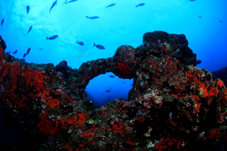 Hole in Reef at Gardner Pinnacles