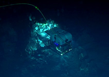 ROV Deep Discoverer imaging a high-density community photo