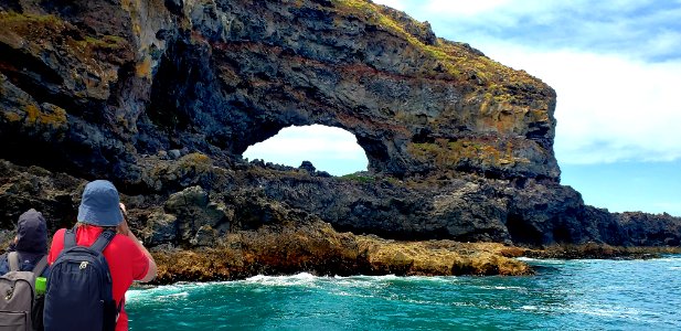 "Hole in the rock" Akaroa NZ
