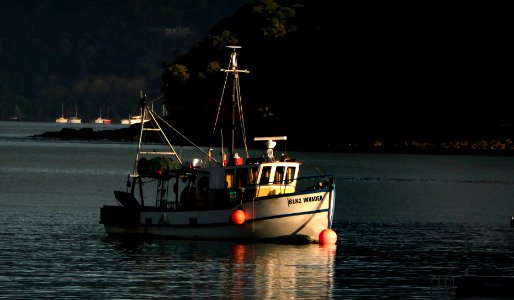Morning anchorage Akaroa.