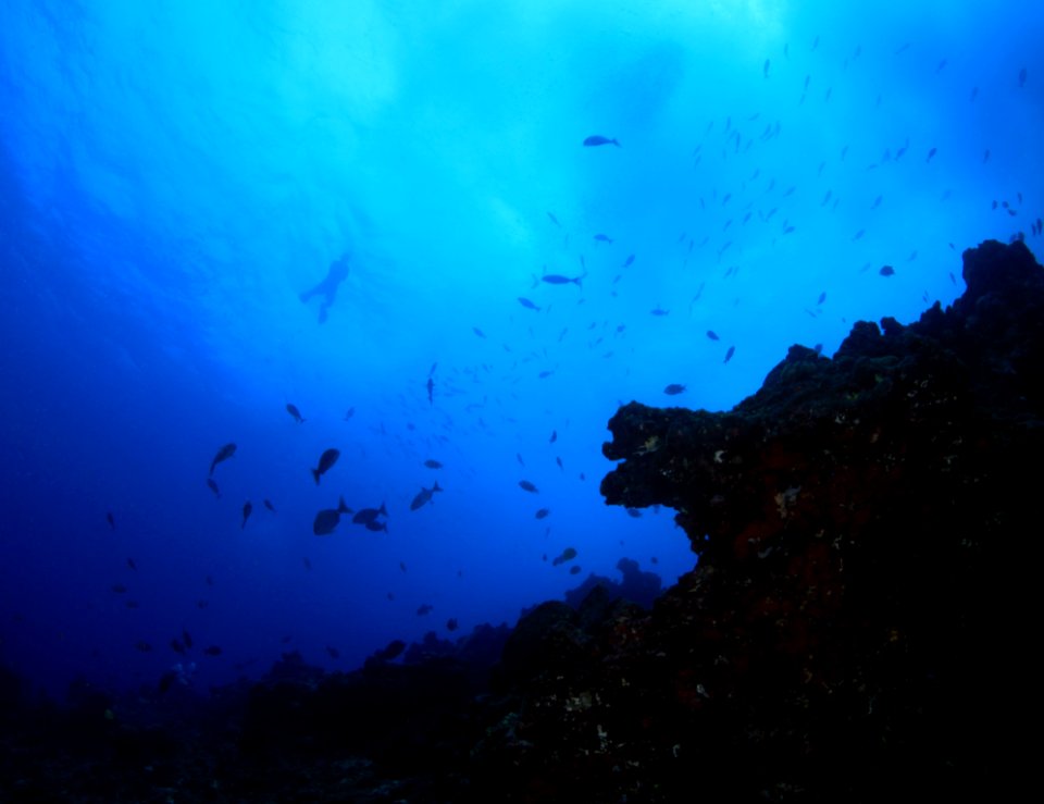 Dan Wagner Snorkeling at Surface - Gardner Pinnacles