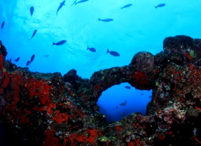 Hole in the Reef at Gardner Pinnacles