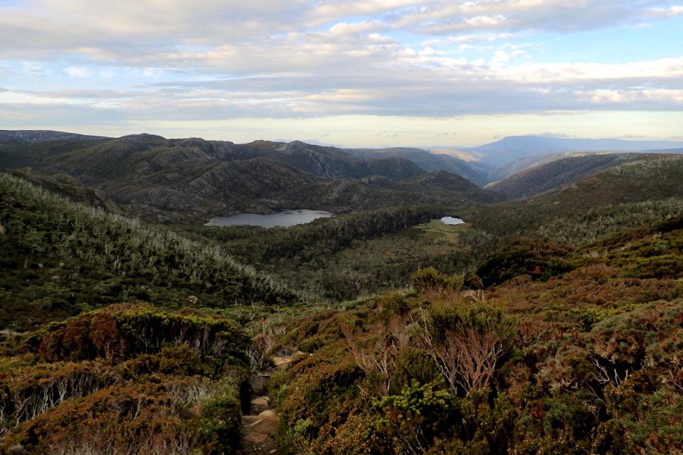 Overland Track photo