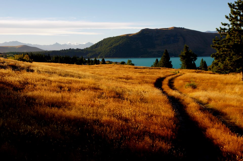 Lake Tekapo Landscape.NZ