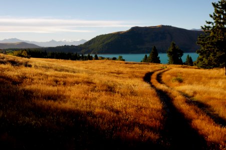 Lake Tekapo Landscape.NZ photo