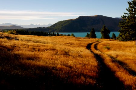Lake Tekapo Landscape.NZ