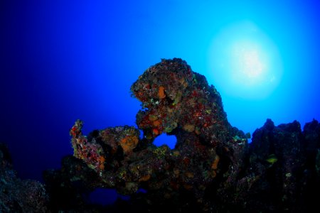 Maro Pliestocene Reef photo
