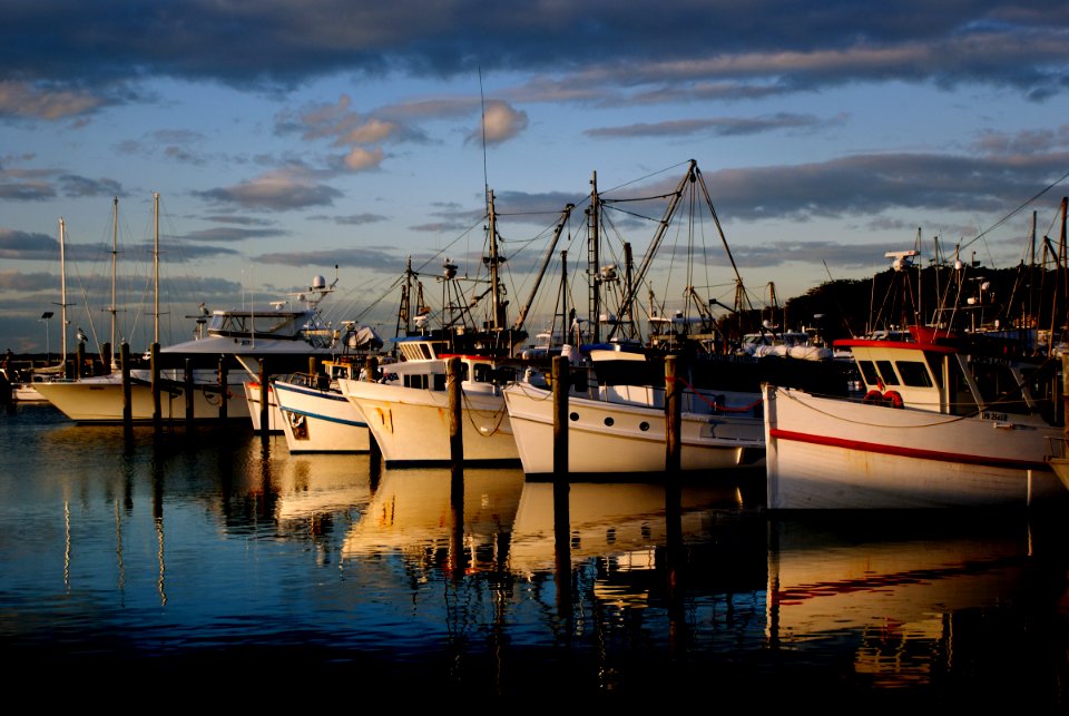 Port  Stephens. NSW Australia.