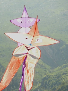 Smiles sky kite