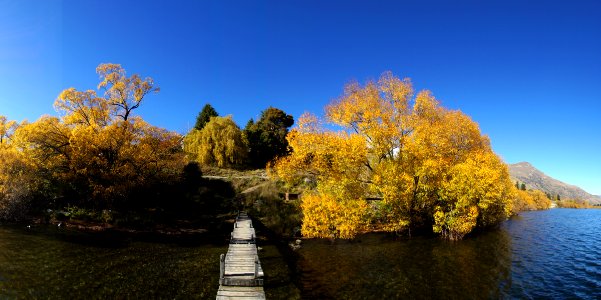 Lake Hayes NZ photo