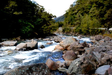 The Hollyford River. Fiordland NZ photo