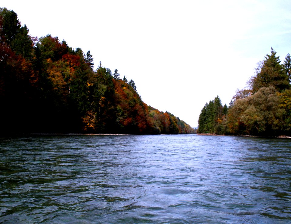 herbst