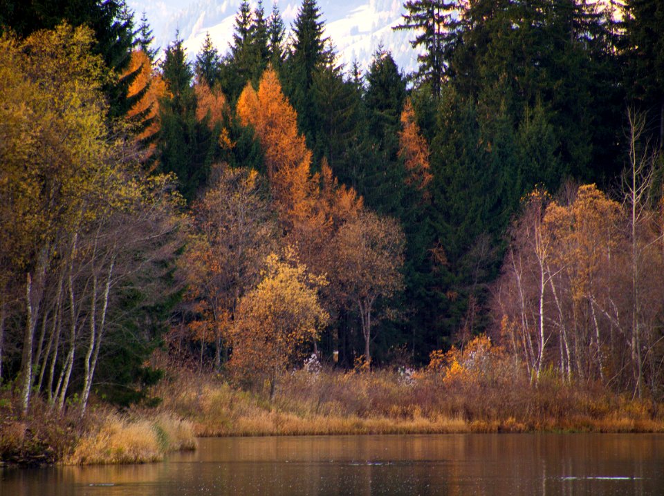 Landscape autunnale?