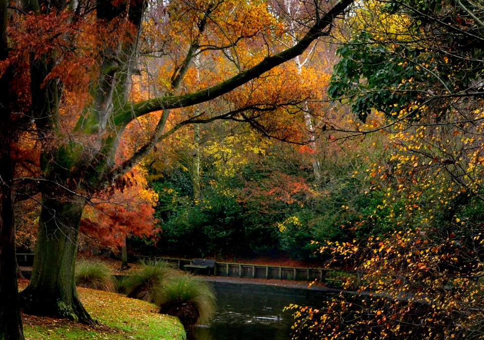 Hagley Park Christchurch NZ photo