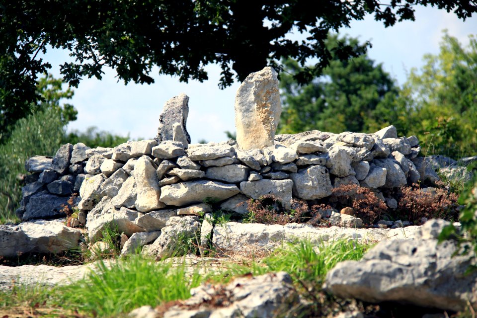 Un jardin minéral entre roches et failles photo