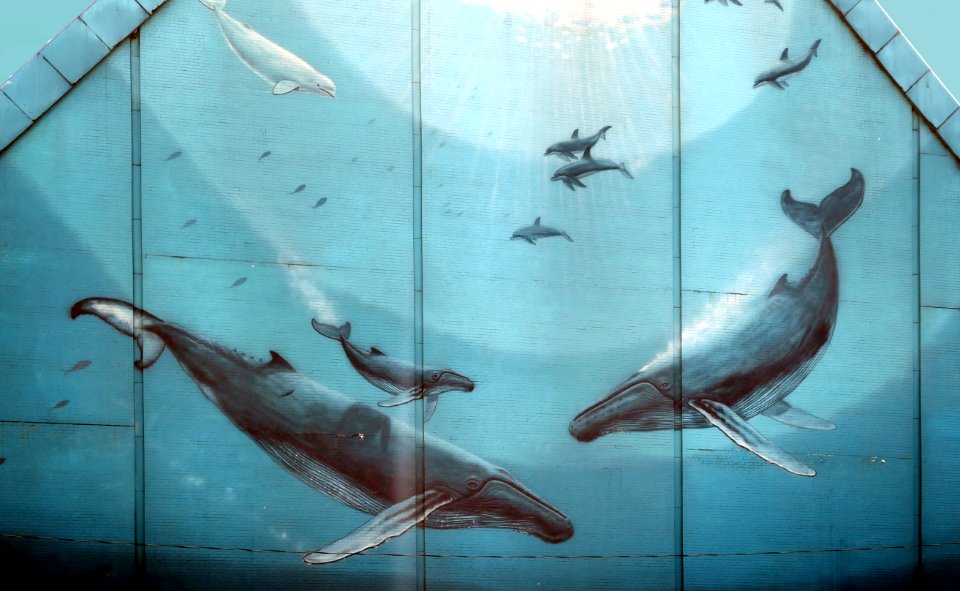 Whaling Wall of Toronto