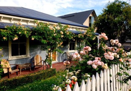 The Cottage Garden. Akaroa. photo