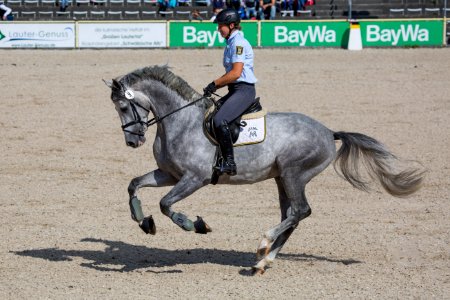 Remonten 20167783