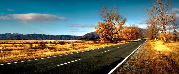 Autumn road.