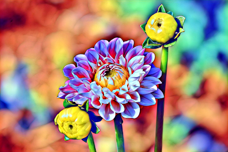 flowers-5