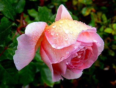 Abraham  Darby