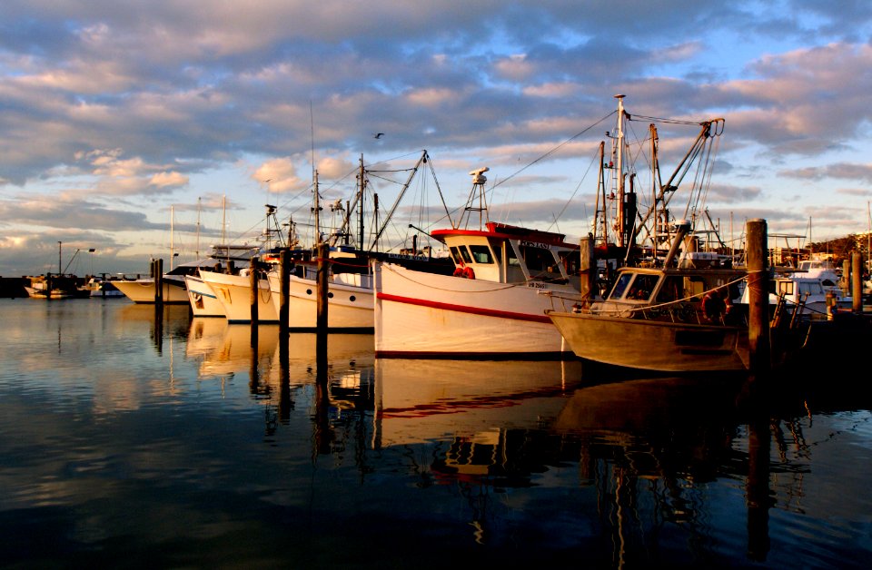 Port  Stephens. NSW Australia.