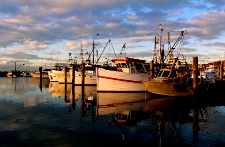 Port  Stephens. NSW Australia.