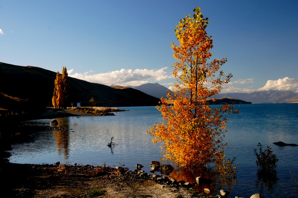 Lake Tekapo New Zealand.