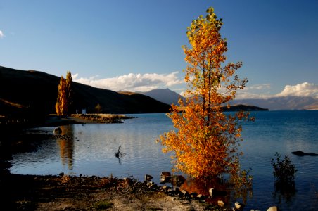 Lake Tekapo New Zealand. photo