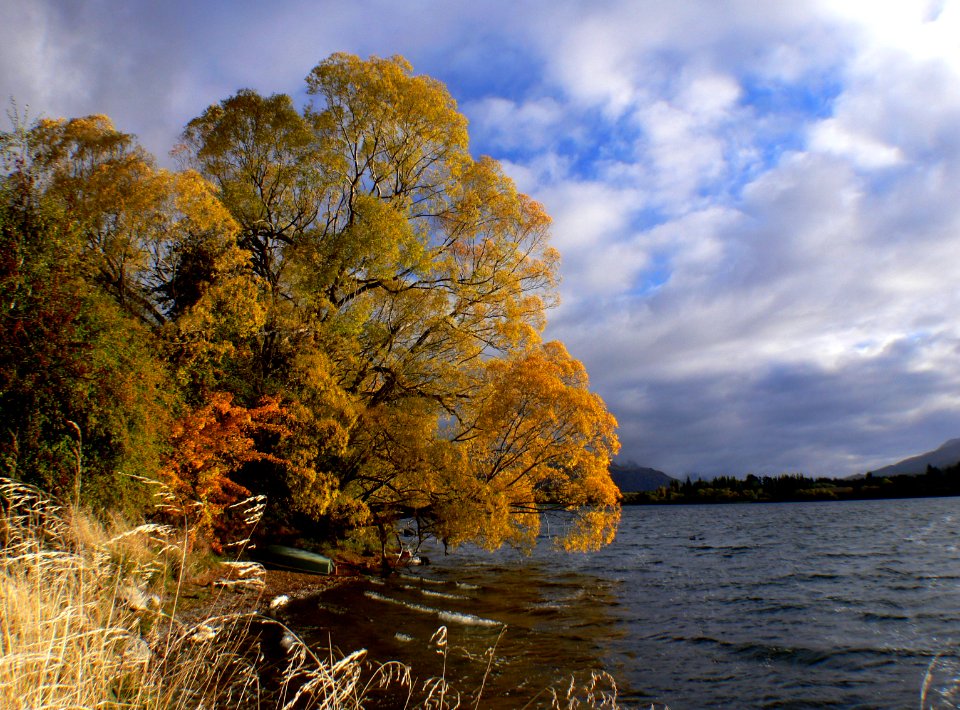 Lake Hayes Otago NZ Autumn photo