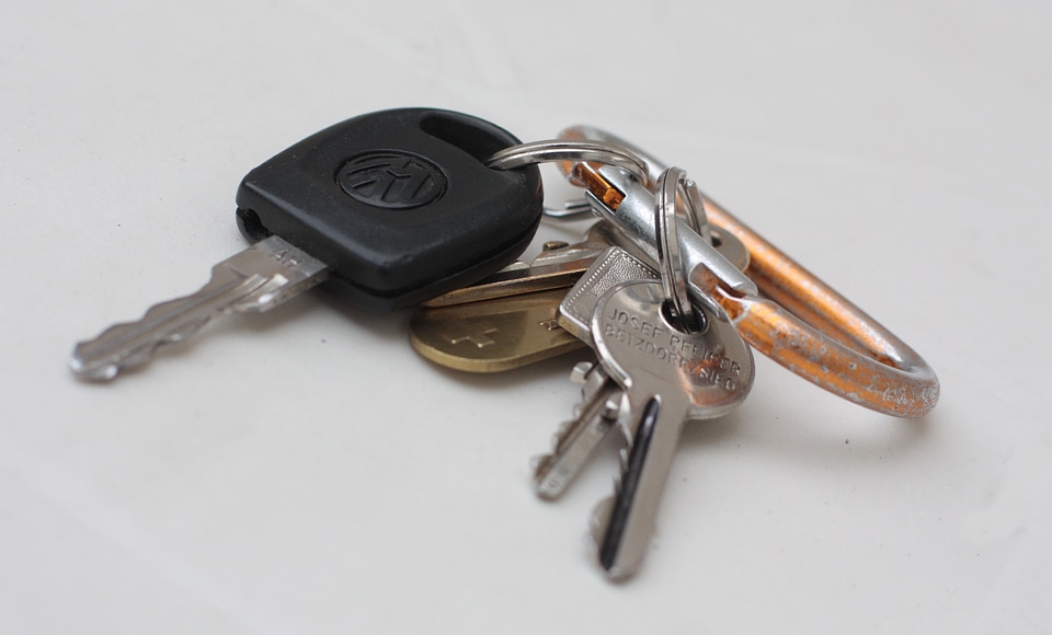 Snap hook door key vw