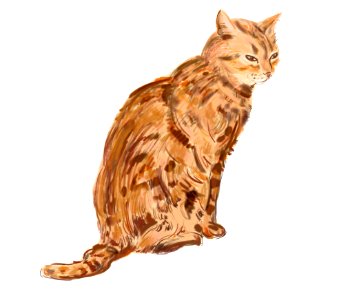 Cat's sketch photo