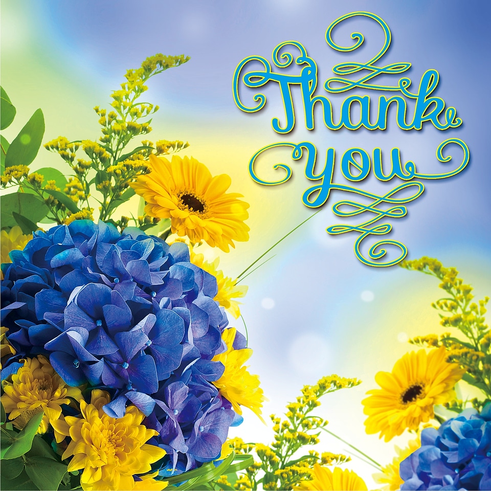 Flowers thanks beautiful