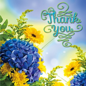 Flowers thanks beautiful