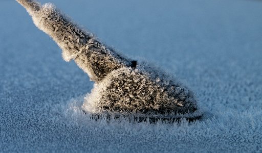 Frosty Recption.  (car areial)