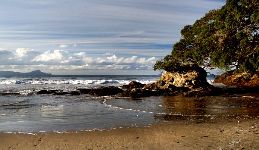Waipu Beach.Northland. NZ photo