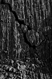 Crack in Pāhoehoe Lava Flow