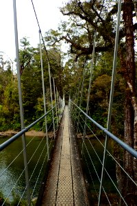 Porarari River Track - Bridge
