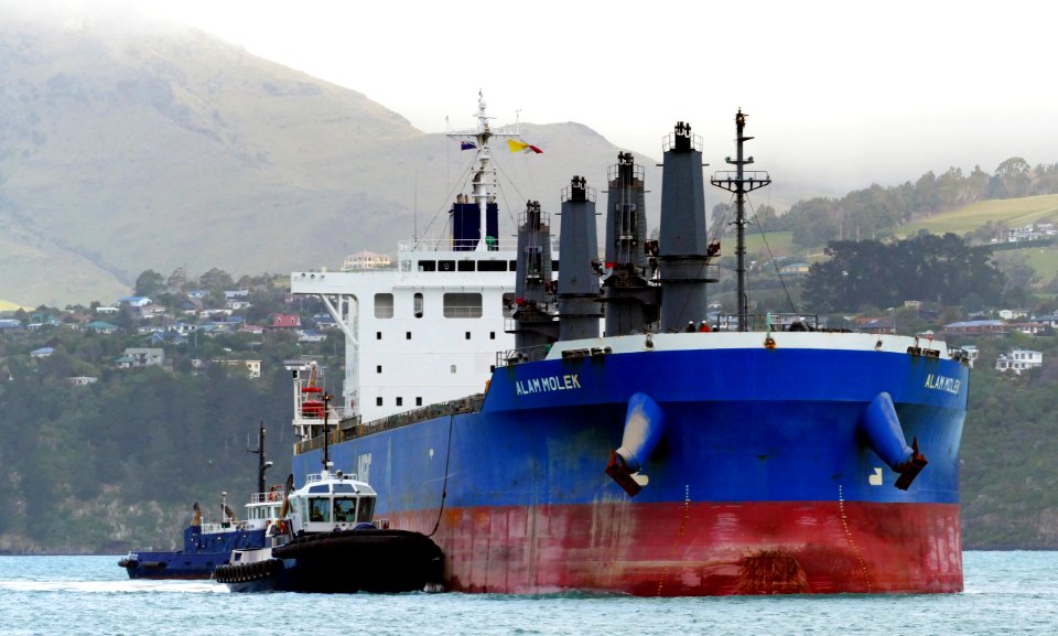 ALAM MOLEK. Bulk carrier.