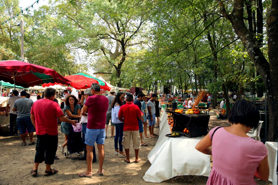 Festival de la Tomate