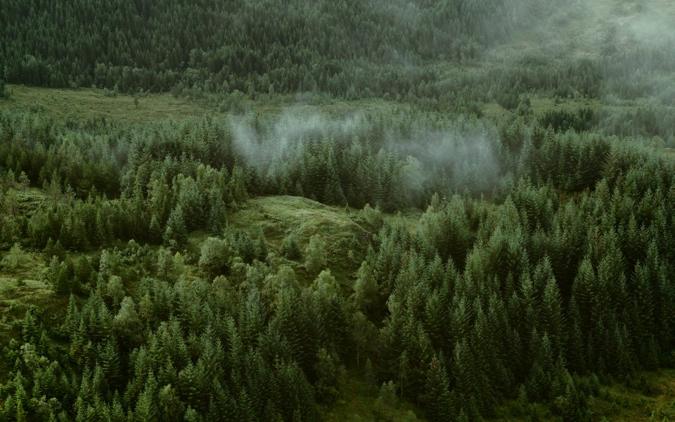 Mountain Sounds