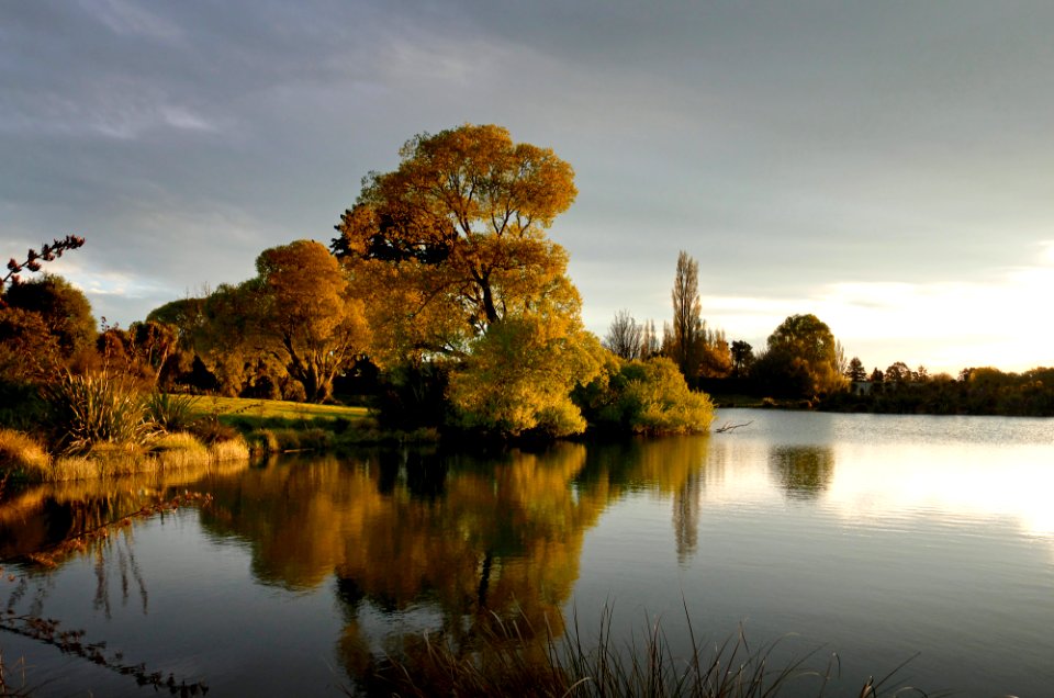 Evening light at the pond.